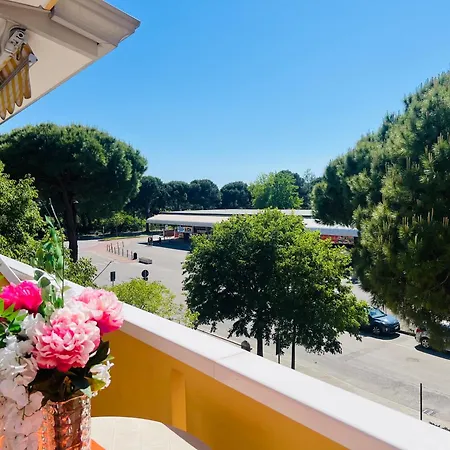 Simma * Бибионе